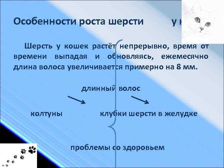 Особенности роста шерсти у кошек Шерсть у кошек растёт непрерывно, время от времени выпадая