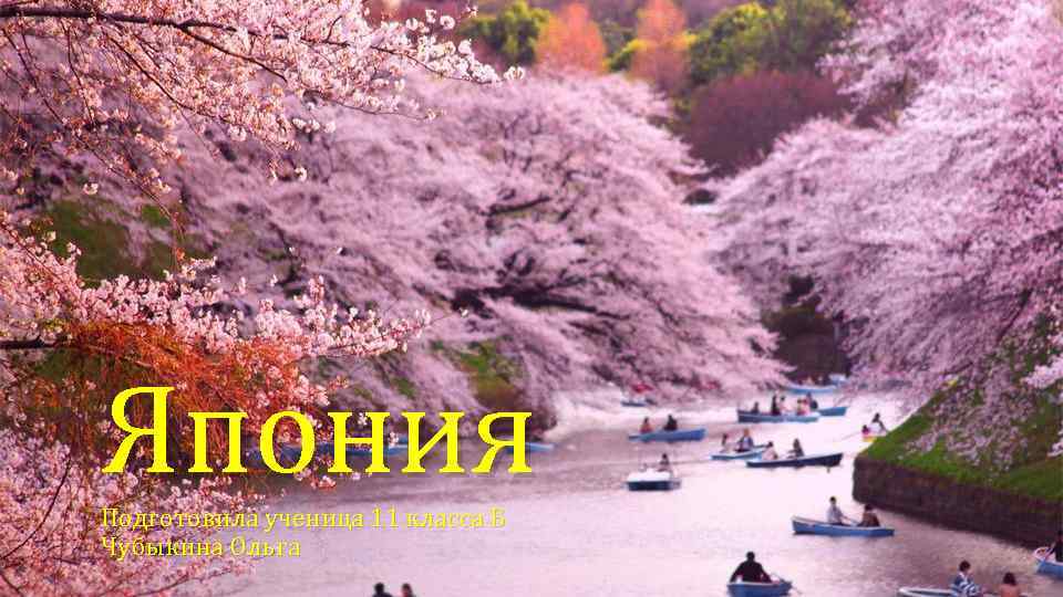 Япония Подготовила ученица 11 класса Б Чубыкина Ольга 