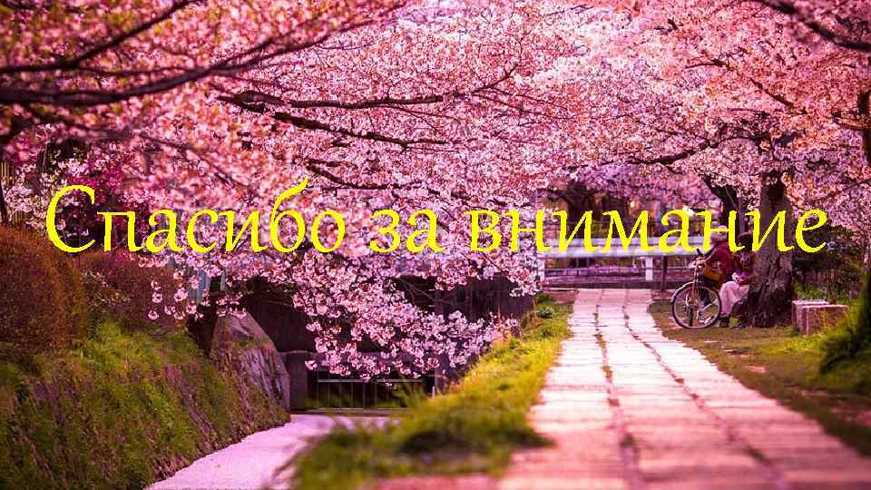 Спасибо за внимание 