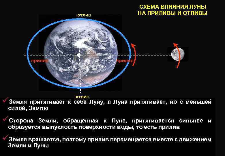 Собственной оси. Воздействие Луны на землю приливы и отливы. Схема лунных приливов и отливов.