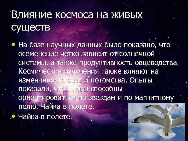 Влияние космоса 4 класс естествознание презентация