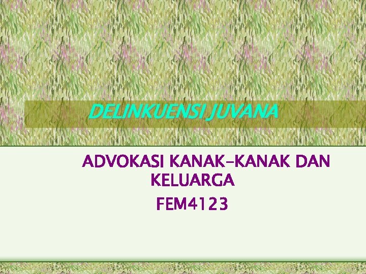 Delinkuensi Juvana Advokasi Kanak Kanak Dan Keluarga Fem 4123