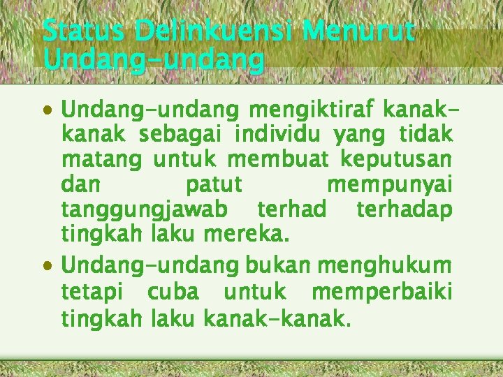 Status Delinkuensi Menurut Undang-undang • Undang-undang mengiktiraf kanak sebagai individu yang tidak matang untuk