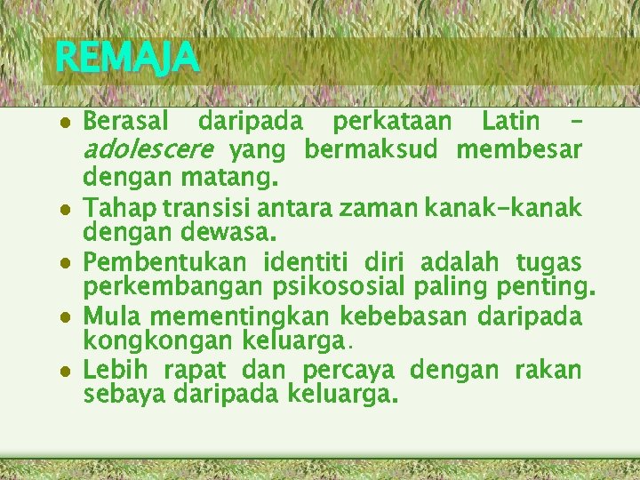 Delinkuensi Juvana Advokasi Kanak Kanak Dan Keluarga Fem 4123