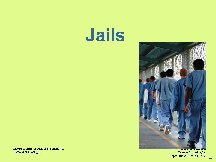 Jails Criminal Justice: A Brief Introduction, 7 E by Frank Schmalleger © Prentice Hall