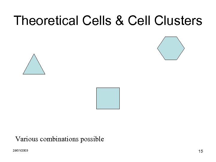 Theoretical Cells & Cell Clusters Various combinations possible 28/01/2003 15 