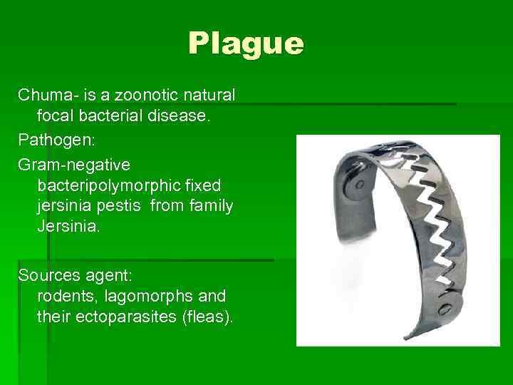 Plague Chuma- is a zoonotic natural focal bacterial disease. Pathogen: Gram-negative bacteripolymorphic fixed jersinia