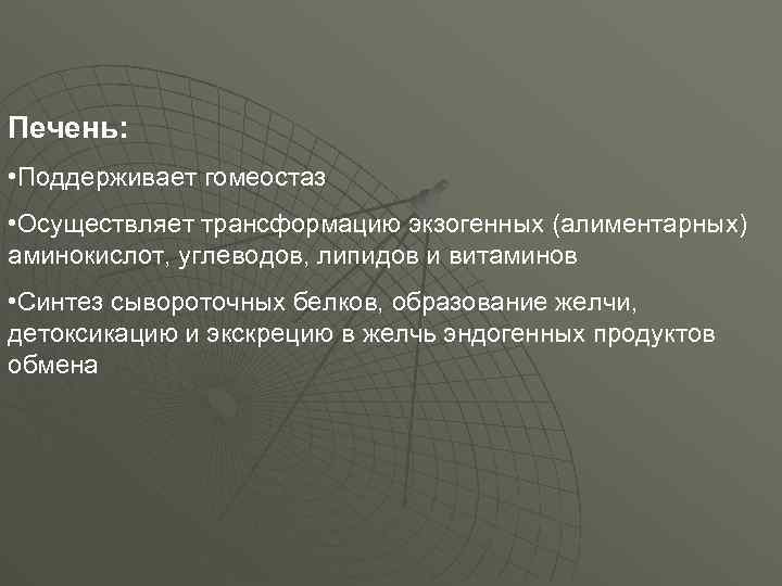 Печень: • Поддерживает гомеостаз • Осуществляет трансформацию экзогенных (алиментарных) аминокислот, углеводов, липидов и витаминов