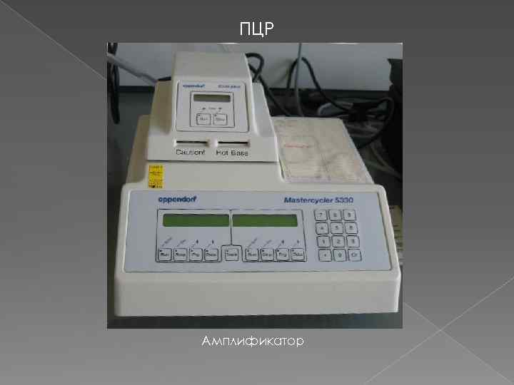 ПЦР Амплификатор 