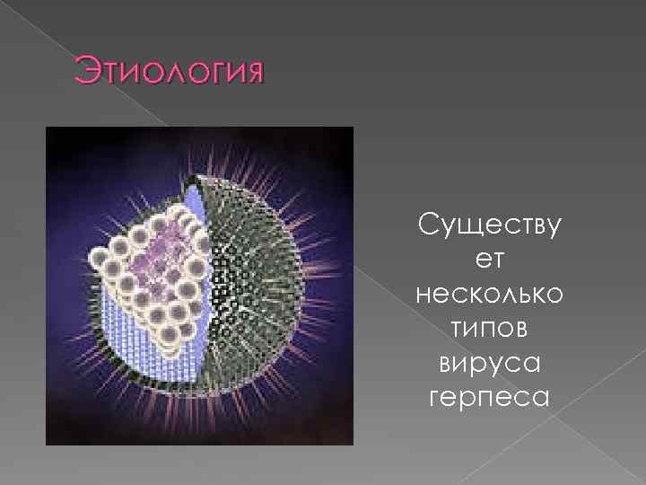 Этиология Существу ет несколько типов вируса герпеса 