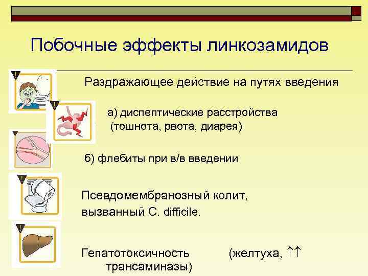 Побочные эффекты линкозамидов Раздражающее действие на путях введения а) диспептические расстройства (тошнота, рвота, диарея)