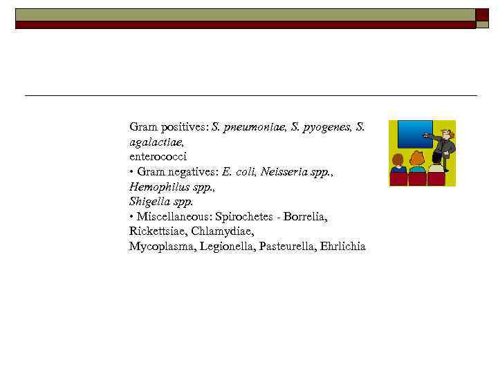 Gram positives: S. pneumoniae, S. pyogenes, S. agalactiae, enterococci • Gram negatives: E. coli,