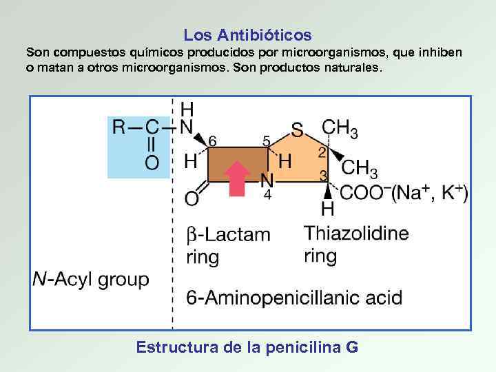 Los Antibióticos Son compuestos químicos producidos por microorganismos, que inhiben o matan a otros