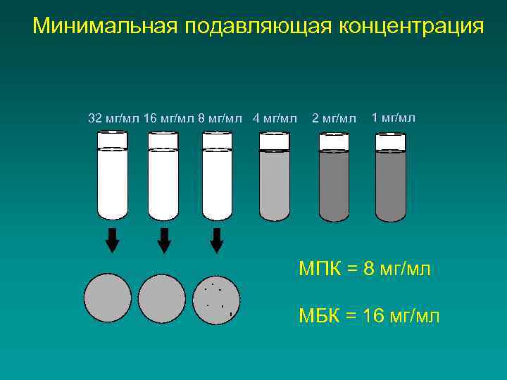 Минимальная подавляющая концентрация 32 мг/мл 16 мг/мл 8 мг/мл 4 мг/мл 2 мг/мл 1