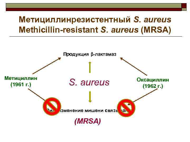 Метициллинрезистентный S. aureus Methicillin-resistant S. aureus (MRSA) Продукция β-лактамаз Метициллин (1961 г. ) S.