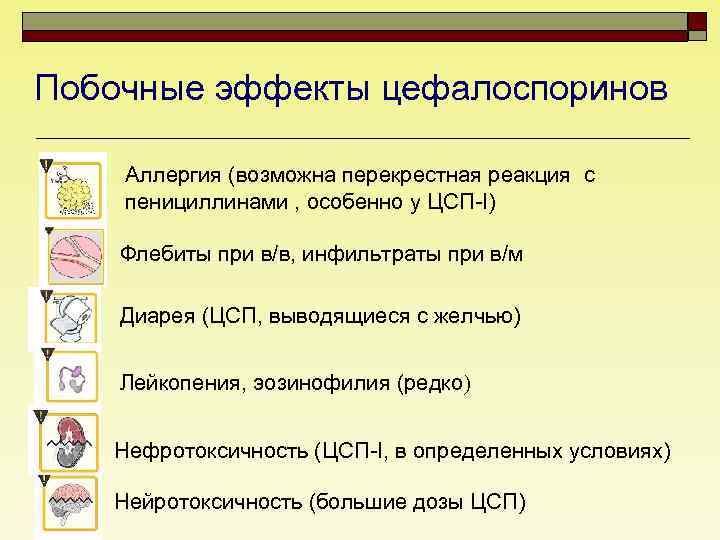 Побочные эффекты цефалоспоринов Аллергия (возможна перекрестная реакция с пенициллинами , особенно у ЦСП-I) Флебиты