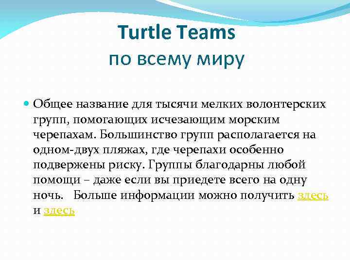 Turtle Teams по всему миру Общее название для тысячи мелких волонтерских групп, помогающих исчезающим