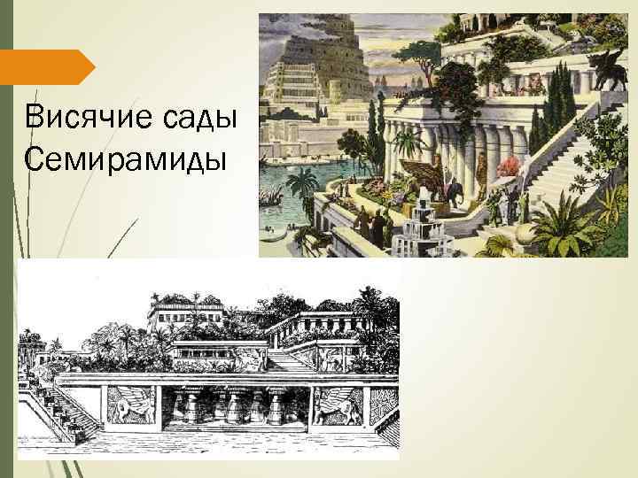 Висячие сады Семирамиды 