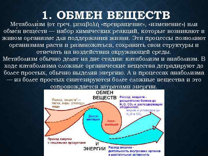 1. ОБМЕН ВЕЩЕСТВ Метаболи зм (от греч. μεταβολή «превращение» , «изменение» ) или обме