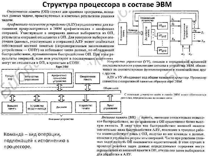 Структура процессора в составе ЭВМ Команда – вид операции, подлежащей к исполнению в процессоре.