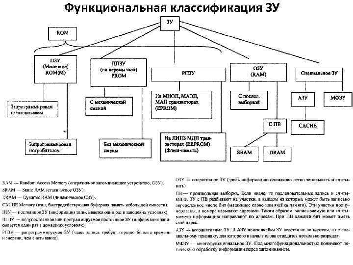 Функциональная классификация ЗУ 