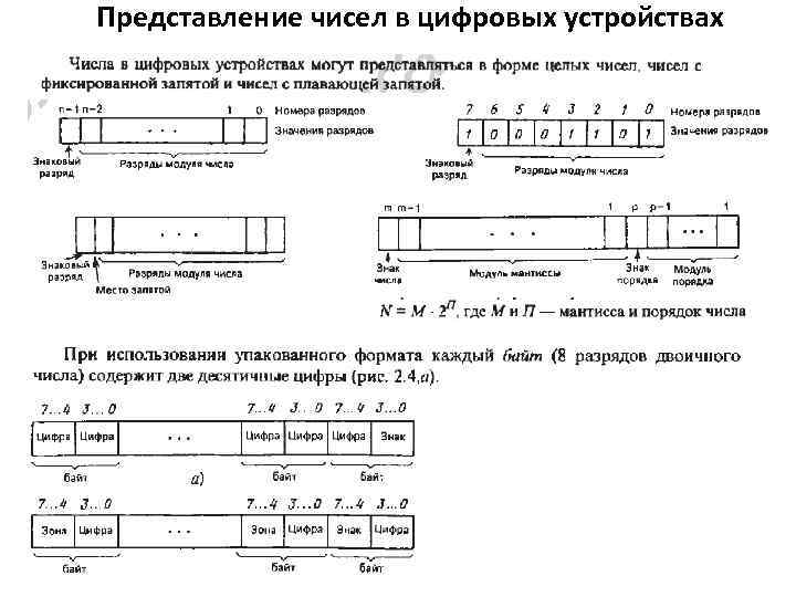 Представление чисел в цифровых устройствах 