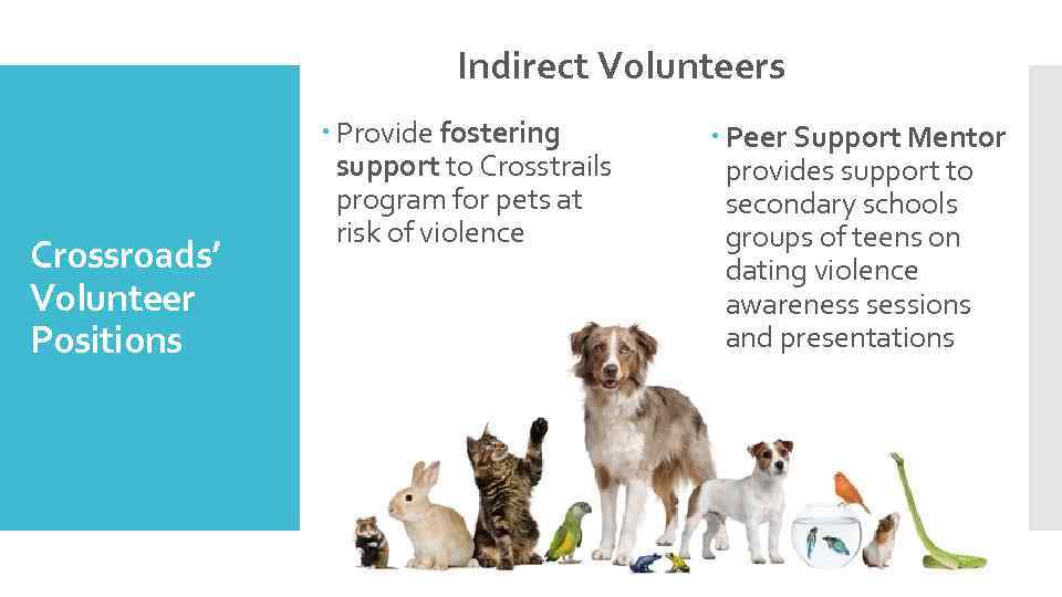 Indirect Volunteers Crossroads’ Volunteer Positions Provide fostering support to Crosstrails program for pets at