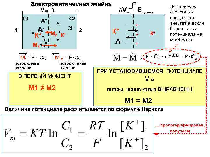 Электролитическая ячейка Vм=0 С 1 1 С 2 А- АК+ М 2 К +