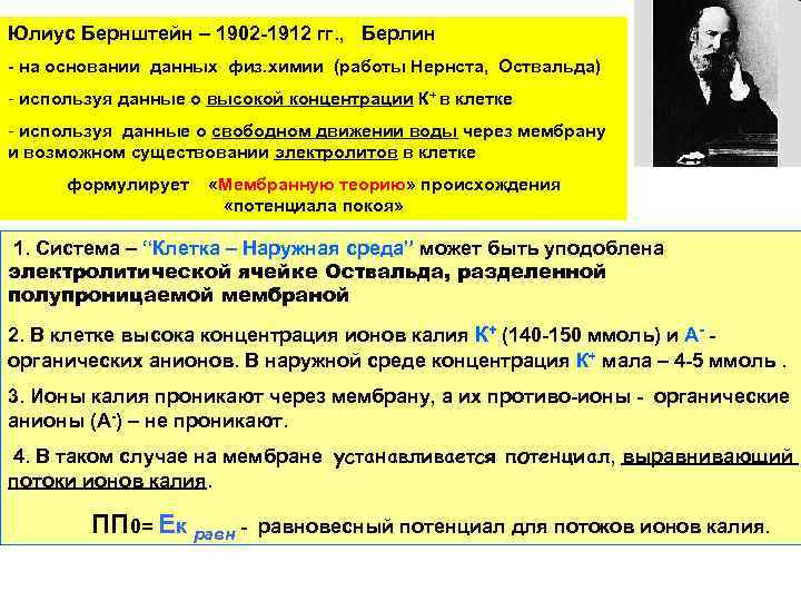 Юлиус Бернштейн – 1902 -1912 гг. , Берлин - на основании данных физ. химии