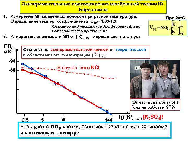 Экспериментальные подтверждения мембранной теории Ю. Бернштейна 1. Измерения МП мышечных волокон при разной температуре.