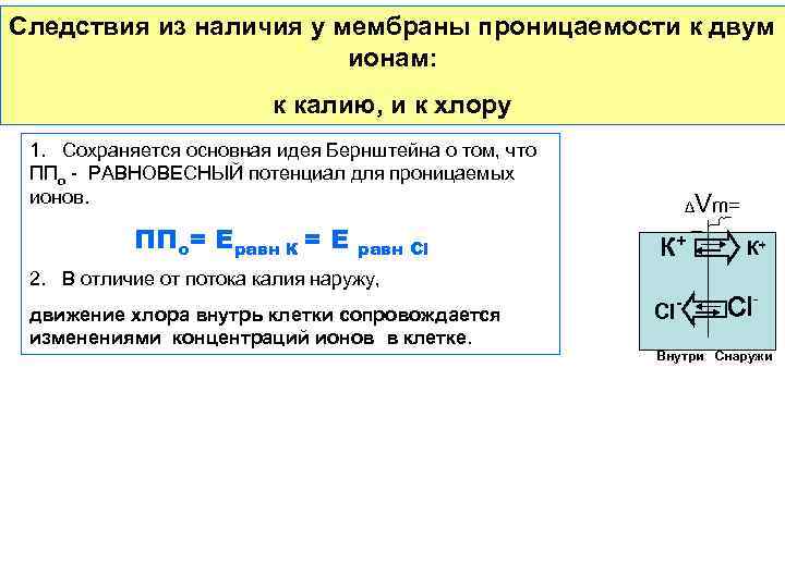 Следствия из наличия у мембраны проницаемости к двум ионам: к калию, и к хлору