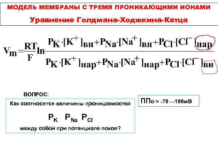 МОДЕЛЬ МЕМБРАНЫ С ТРЕМЯ ПРОНИКАЮЩИМИ ИОНАМИ Уравнение Голдмана-Ходжкина-Катца ВОПРОС: Как соотносятся величины проницаемостей РK