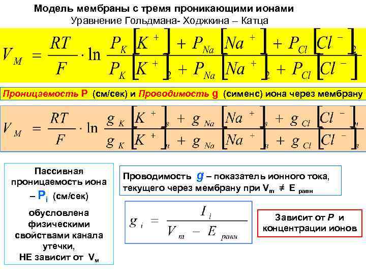 Модель мембраны с тремя проникающими ионами Уравнение Гольдмана- Ходжкина – Катца Проницаемость Р (см/сек)