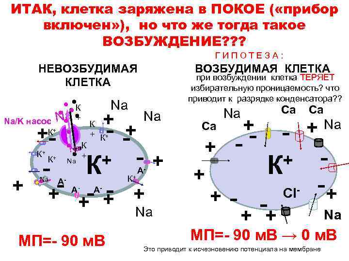 Заряд тканей