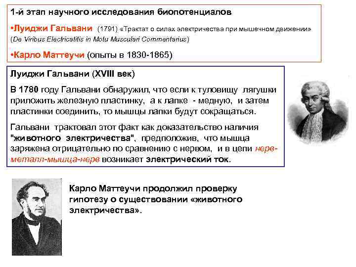 1 -й этап научного исследования биопотенциалов • Луиджи Гальвани (1791) «Трактат о силах электричества