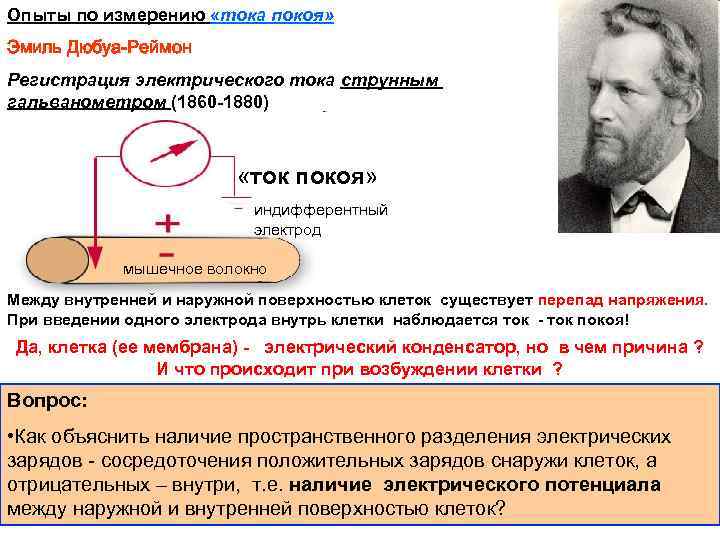 Опыты по измерению «тока покоя» Эмиль Дюбуа-Реймон Регистрация электрического тока струнным гальванометром (1860 -1880)