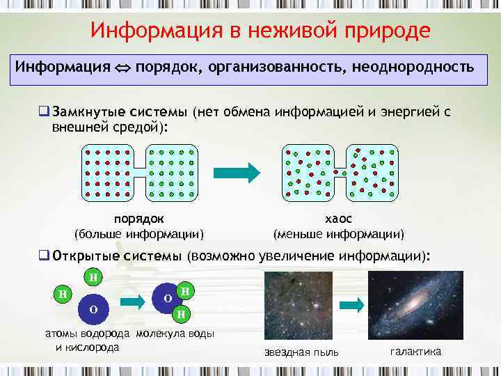 Информация в неживой природе Информация порядок, организованность, неоднородность q Замкнутые системы (нет обмена информацией