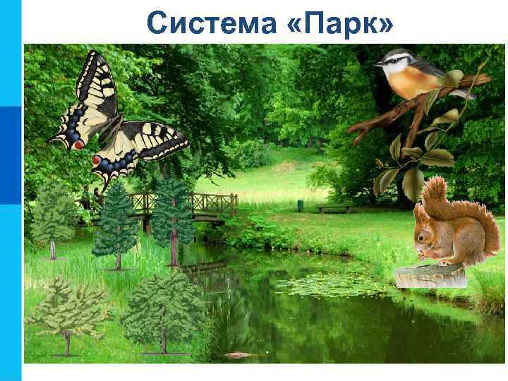Система «Парк» Насекомые Птицы Деревья Животные 