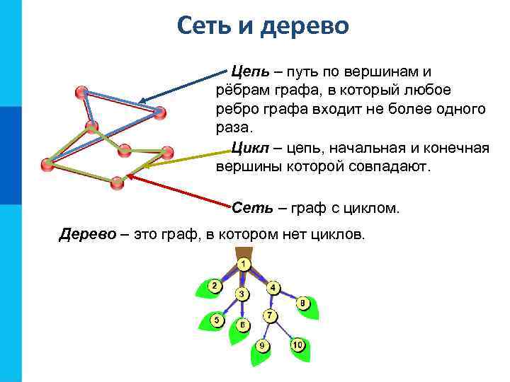 Сеть и дерево Цепь – путь по вершинам и рёбрам графа, в который любое