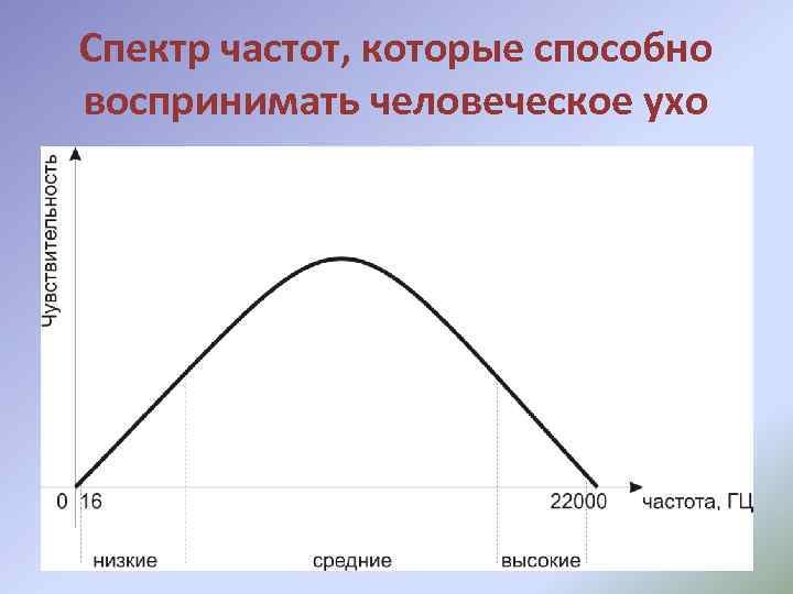 Спектр частот, которые способно воспринимать человеческое ухо 