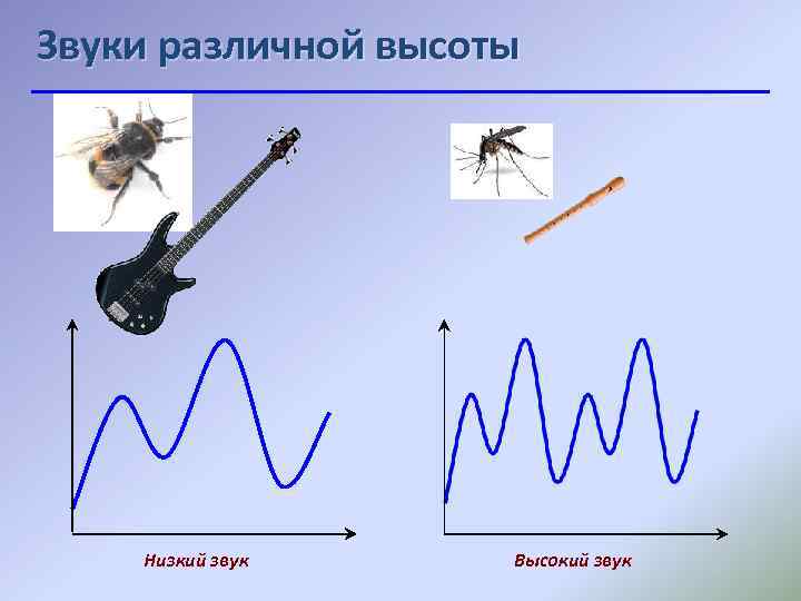 Звуки различной высоты Низкий звук Высокий звук 