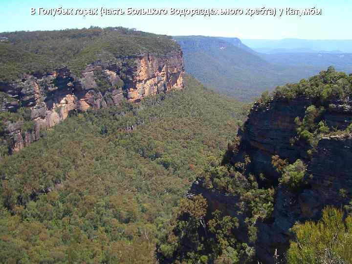 В Голубых горах (часть Большого Водораздельного хребта) у Катумбы 