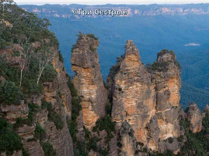  «Три Сестры» • Голубые Горы это гористая местность в Новом Южном Уэльсе, которая