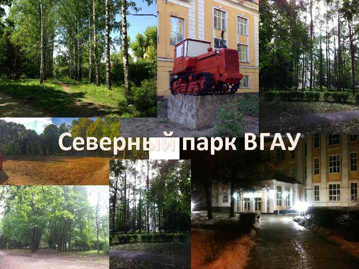 Северный парк ВГАУ 