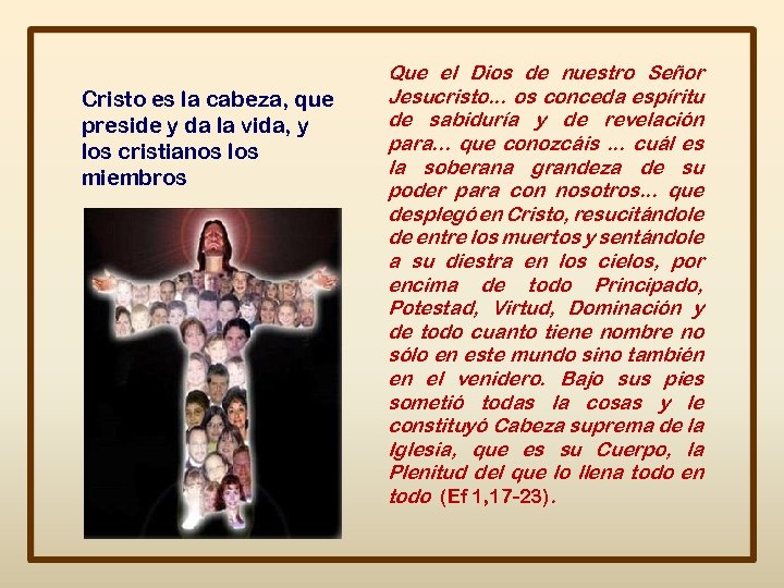 Cristo es la cabeza, que preside y da la vida, y los cristianos los