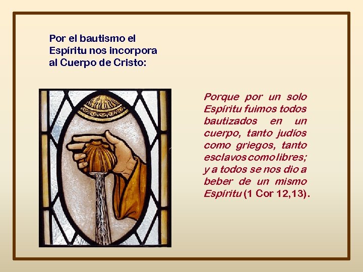 Por el bautismo el Espíritu nos incorpora al Cuerpo de Cristo: Porque por un