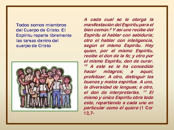 Todos somos miembros del Cuerpo de Cristo. El Espíritu reparte libremente las tareas dentro