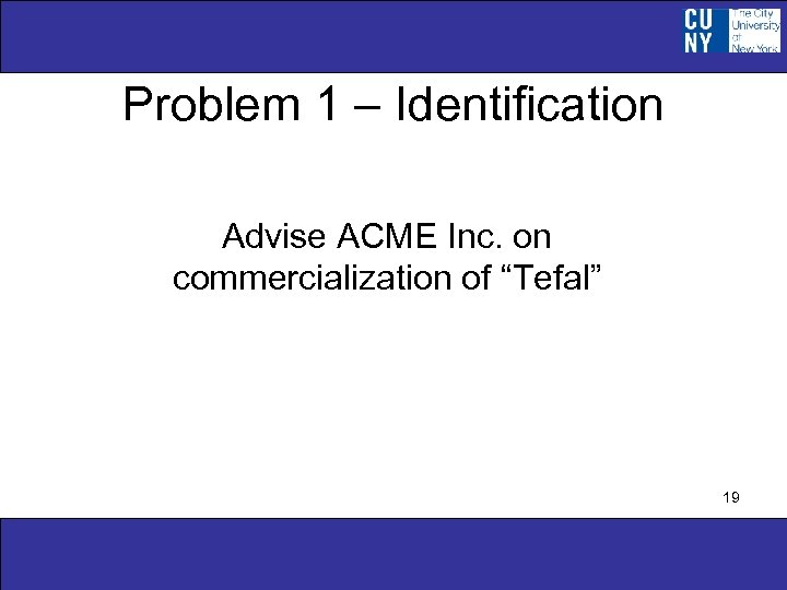 Problem 1 – Identification Advise ACME Inc. on commercialization of “Tefal” 19 