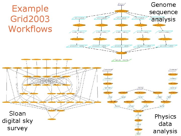 Example Grid 2003 Workflows Sloan digital sky survey Genome sequence analysis Physics data analysis