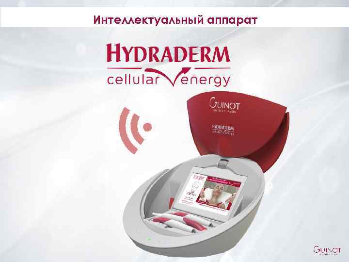 Интеллектуальный аппарат Séminaire d’été – Août 2015 